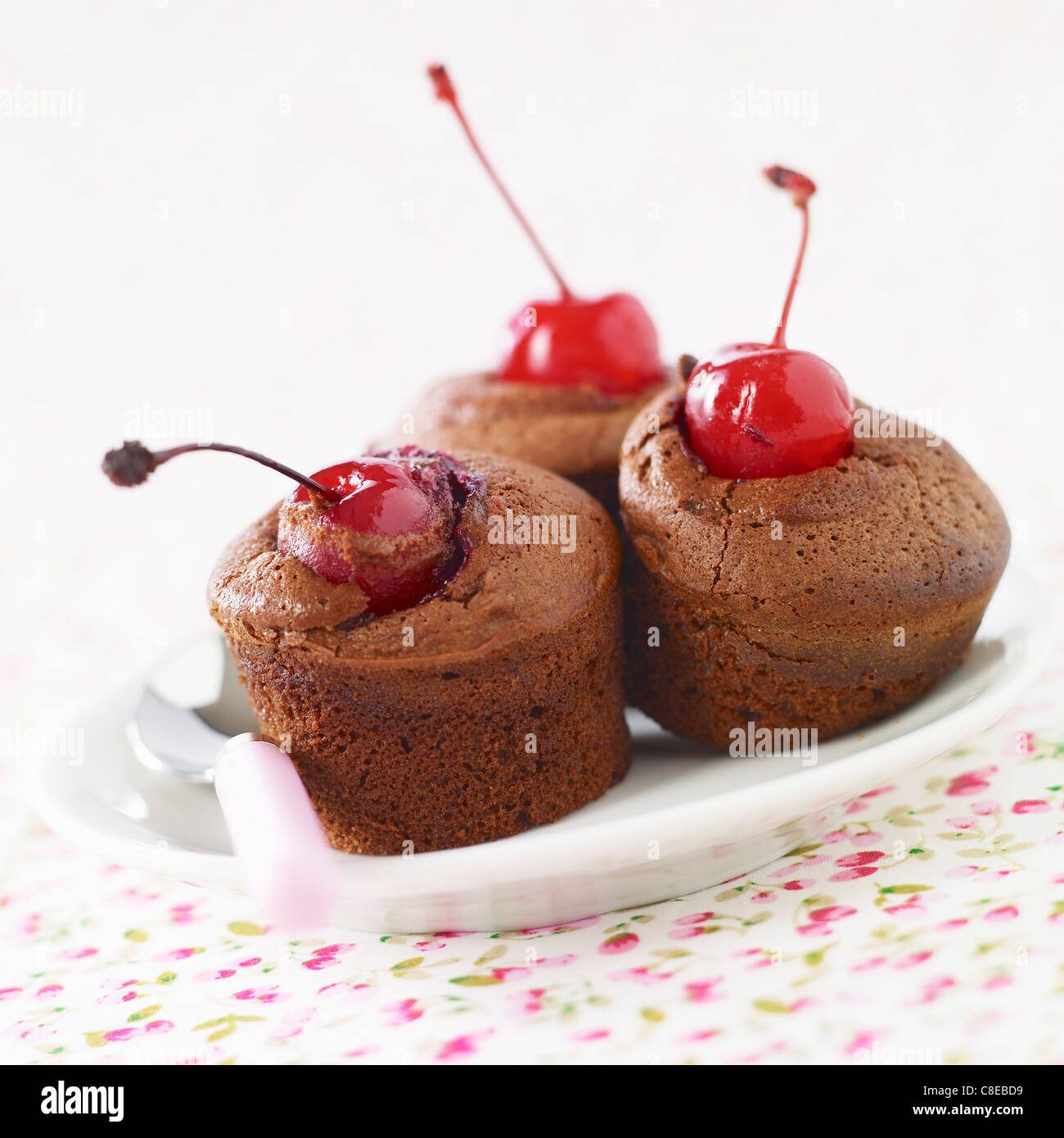 Individuelle Schokolade und Amarena Kirsche weichen Kuchen Stockfoto