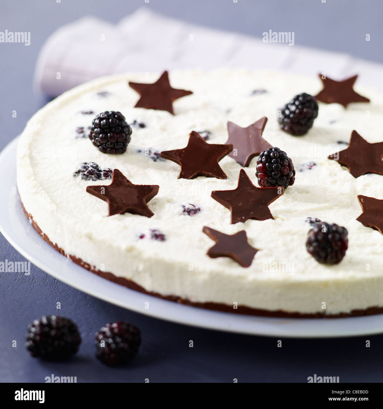 Zwei Schokolade und Blackberry Käsekuchen Stockfoto