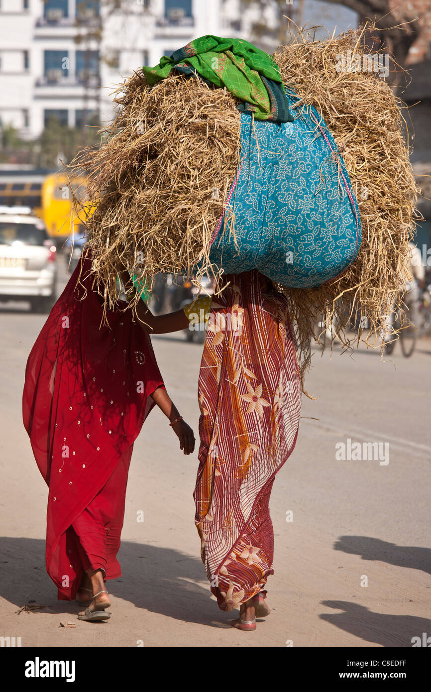 Indische Frauen auf der Straße, eine mit Stroh Ballen auf Kopf, in Nandi in der Nähe von Varanasi, Benares, Nordindien Stockfoto