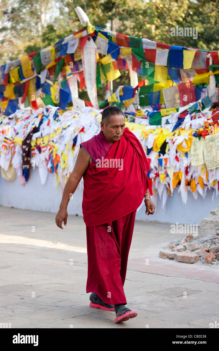 Buddhistischer Mönch übergibt Gebetsfahnen im Mulagandhakuti Vihara Tempel in Sarnath bei Varanasi, Benares, Nordindien Stockfoto