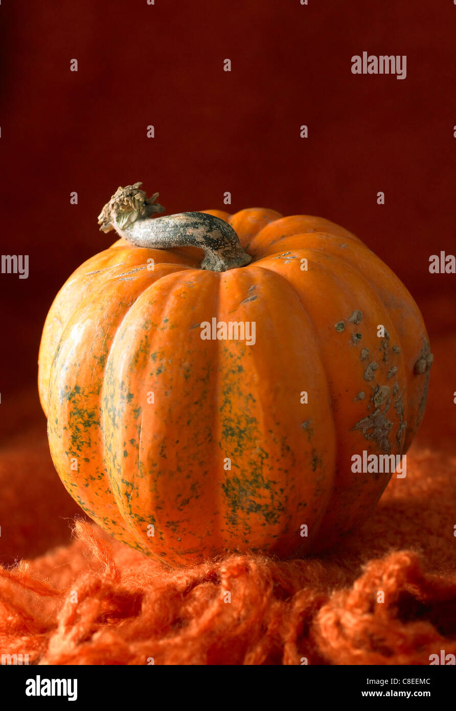 Ganze Kürbis Stockfoto