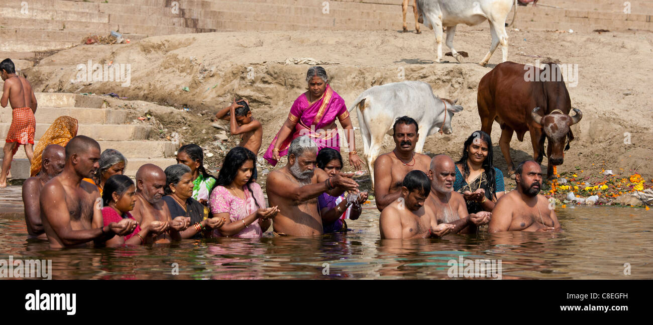 Indisch-hinduistischen Männer und Frauen Baden und beten in den Fluss Ganges durch Kshameshwar Ghat in heiligen Stadt Varanasi, Indien Stockfoto