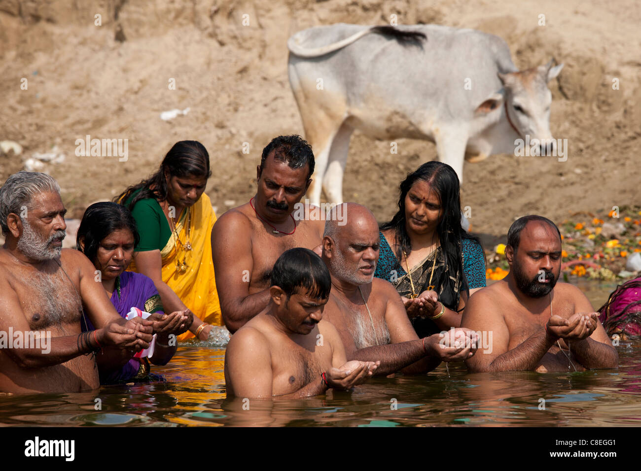 Indisch-hinduistischen Männer und Frauen Baden und beten in den Fluss Ganges durch Kshameshwar Ghat in heiligen Stadt Varanasi, Indien Stockfoto