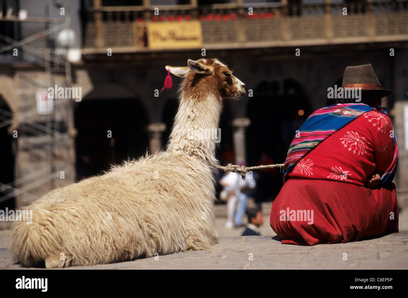 Cusco, Peru. Quechua indische Frau in traditioneller Kleidung mit ihrem Lama von der Rückseite in der Plaza de Armas. Stockfoto