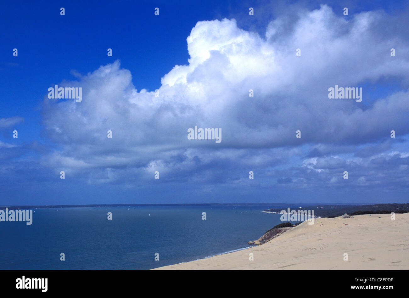 Dünen, Atlantikküste, in der Nähe von Arcachon, Frankreich, Europa, sand Stockfoto