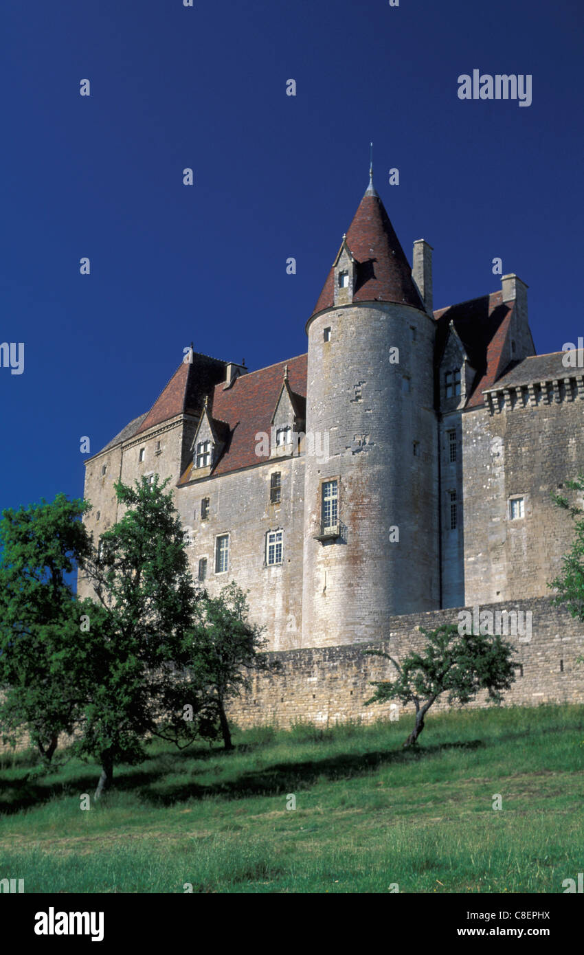 Chateaneuf En Auxois, Cote d ' or, Burgund, Frankreich, Europa, Turm Stockfoto