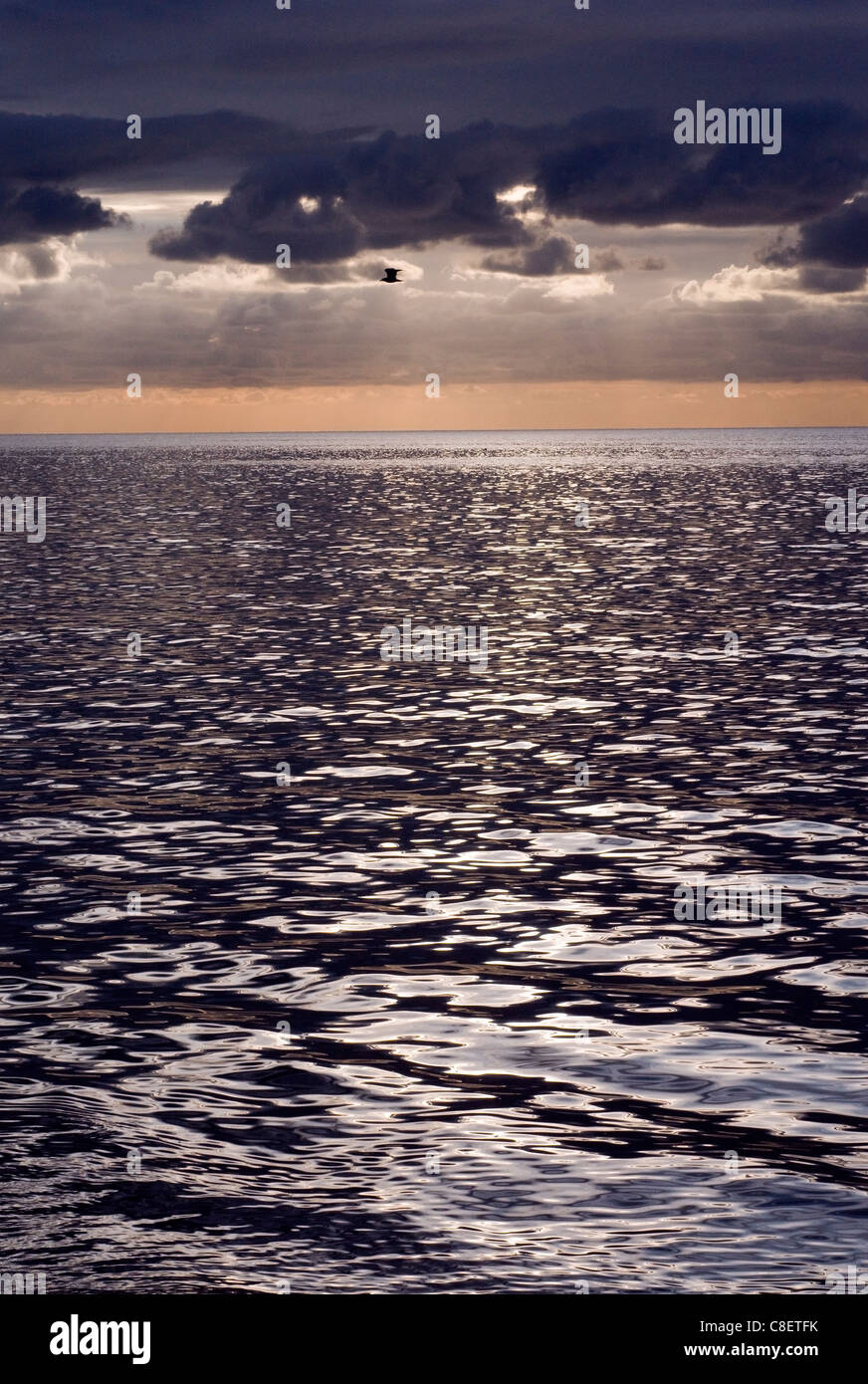 Boot am Horizont von Torbay, Bucht, Strand, schöne, blaue, Britisch, ruhig, klar, Steilküste, Küste, Tag, verlassenen, Ziel, Rand, emp Stockfoto