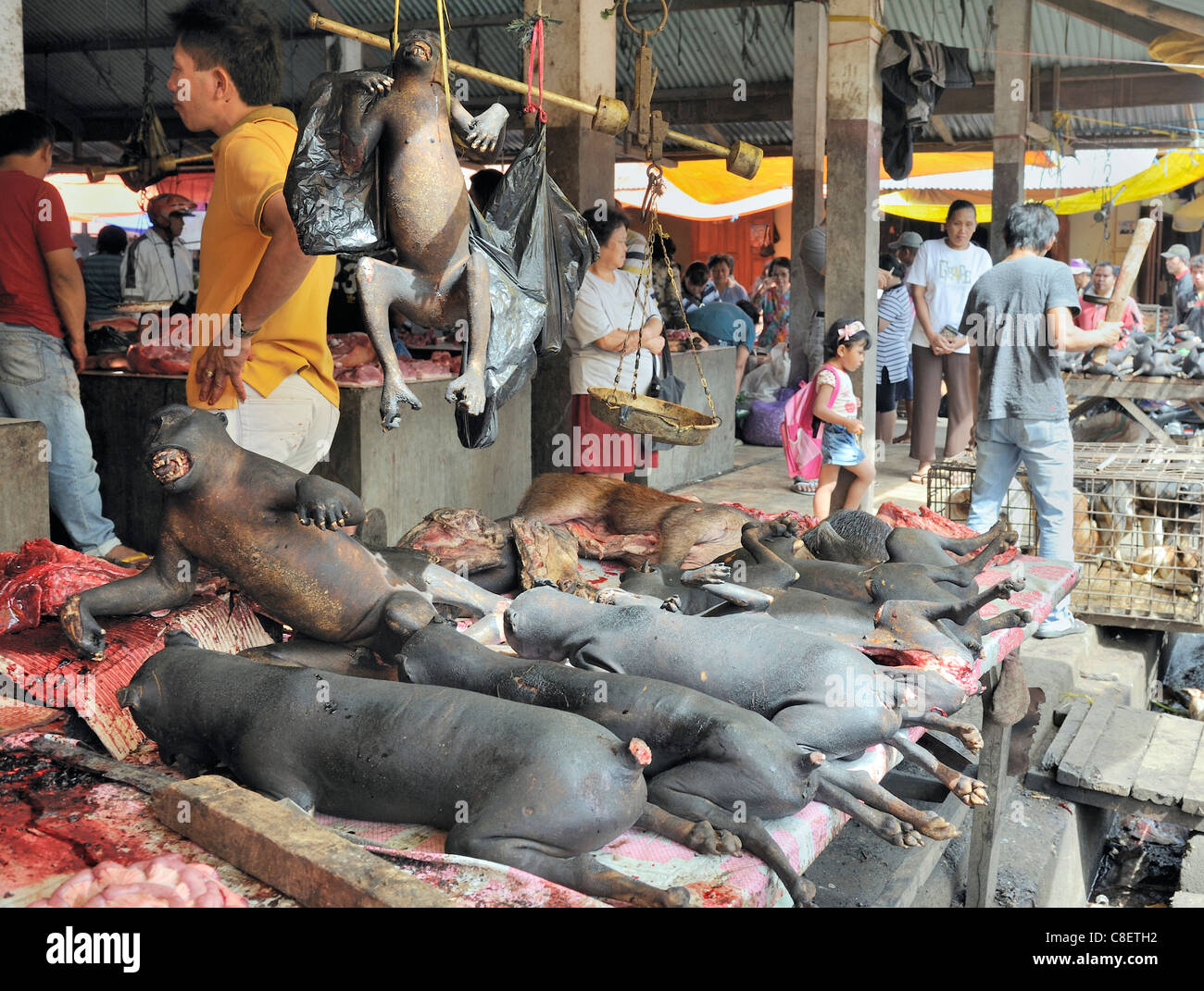 Geschwärzte Affen und Hunde in einem asiatischen Markt Stockfoto
