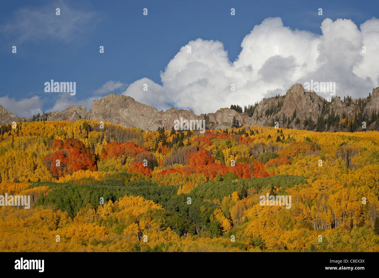 Der Deich mit den Herbstfarben, Grand Mesa Uncompahgre Gunnison National Forest, Colorado, Vereinigte Staaten von Amerika Stockfoto