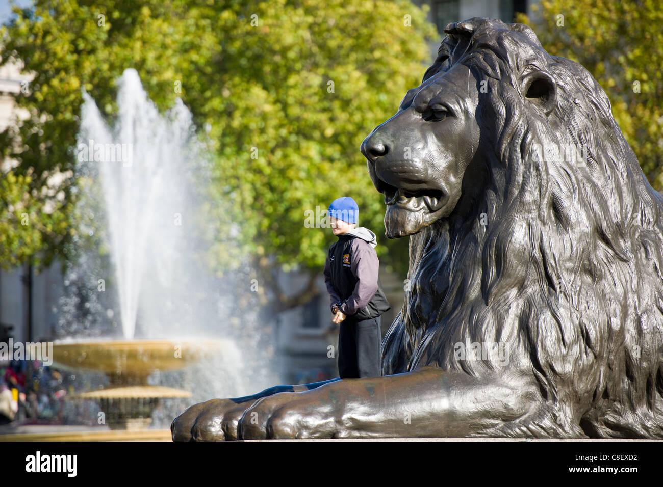 Trafalgar Square in London - England Stockfoto