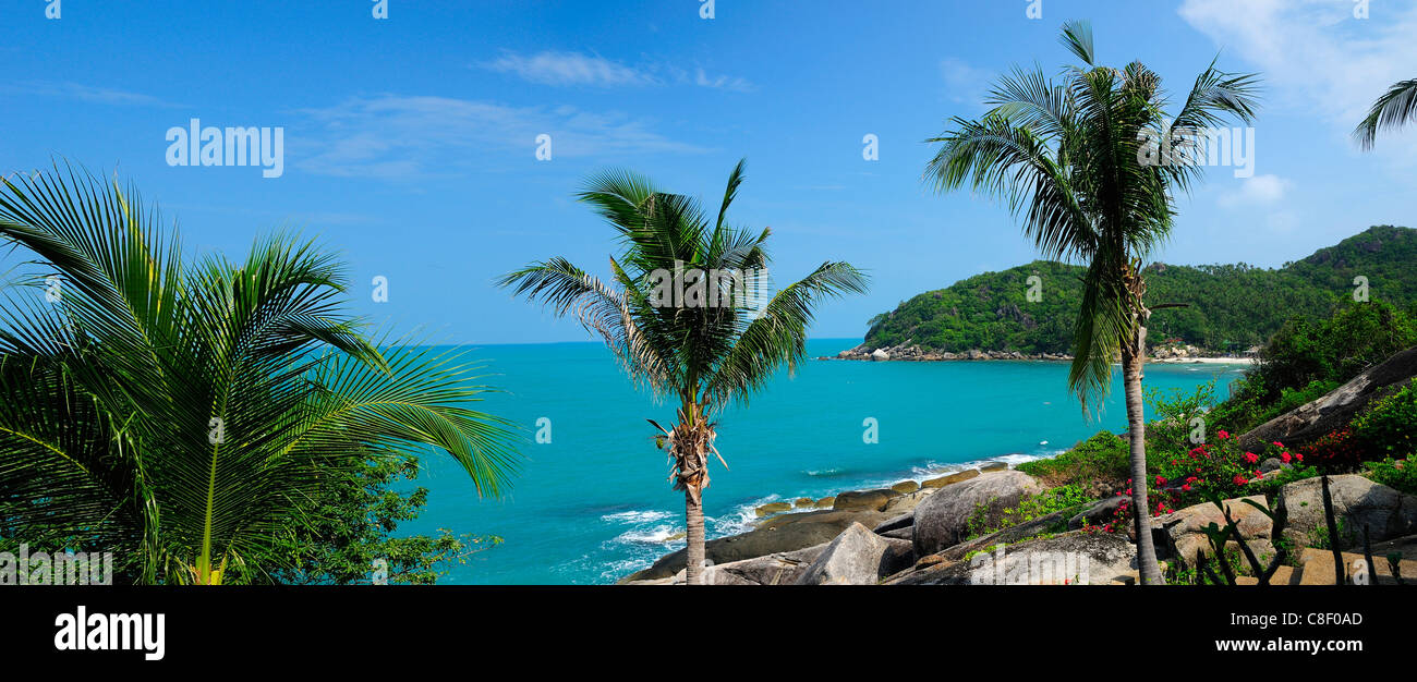 Bei Oma, Opa Felsen, Hin Ta, Hin Yai, in der Nähe von Lamai, Koh Samui, Thailand, Asien Stockfoto