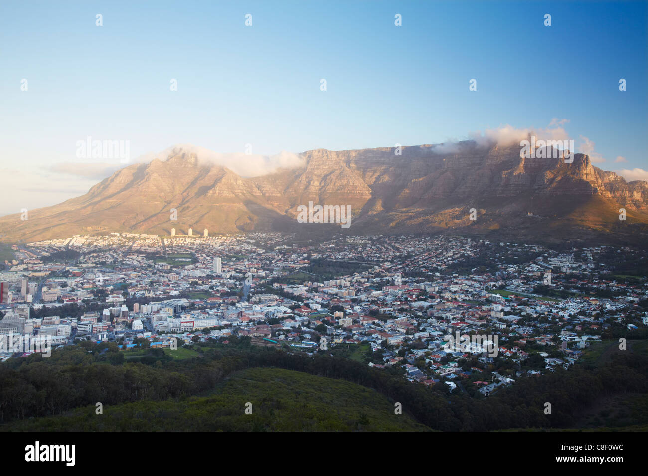 Blick auf den Tafelberg und City Bowl, Cape Town, Western Cape, Südafrika Stockfoto