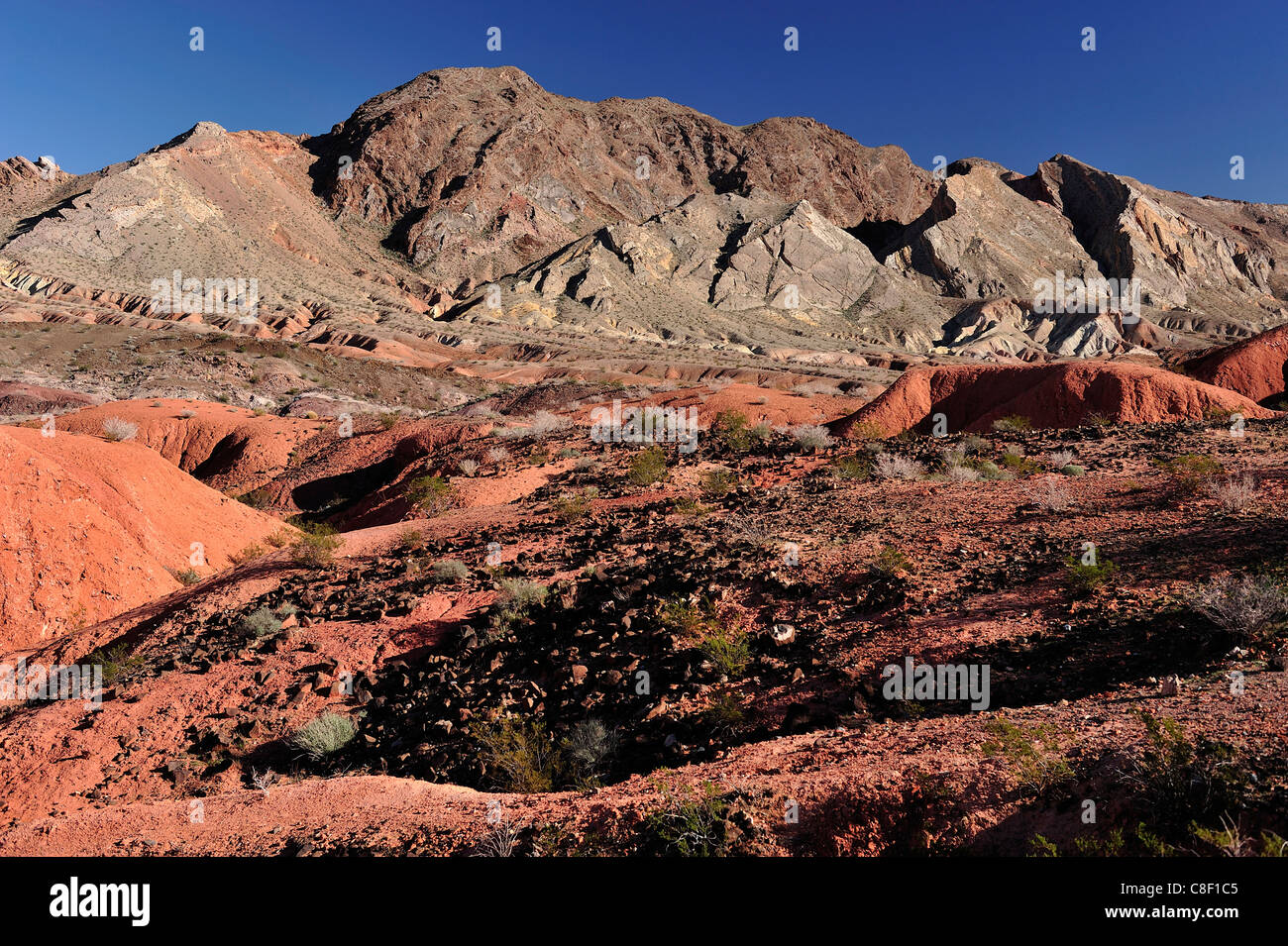 Lake Mead National Recreation Area, Nevada, USA, USA, Amerika, Landschaft, Stockfoto