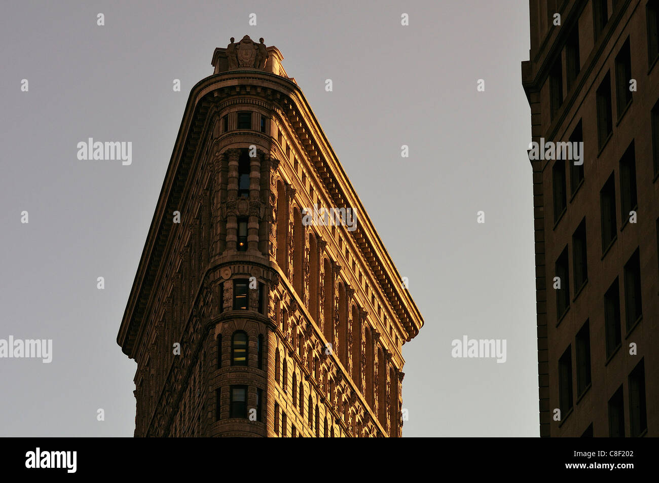 Flatiron Building, New York, USA, USA, Amerika, Architektur Stockfoto