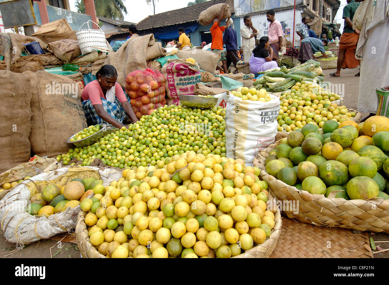 Gemüsemarkt, Chalai, Trivandrum, Kerala, Indien Stockfoto