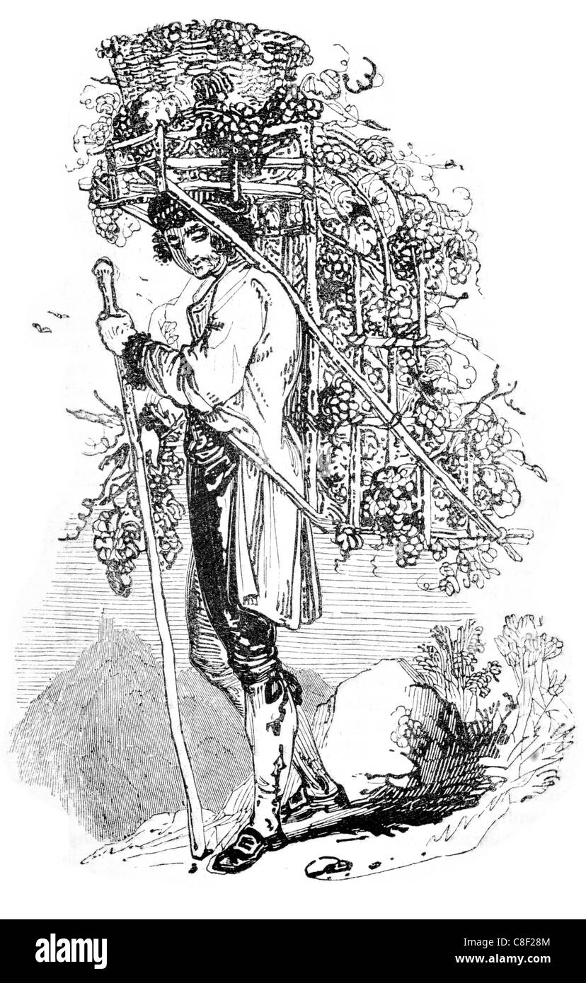 Ein Tiroler Bauer auf Vintage Zeit Weingut Weinberg Trauben Trauben Rebe Reben Prozess Fabrik met Winzer Stockfoto