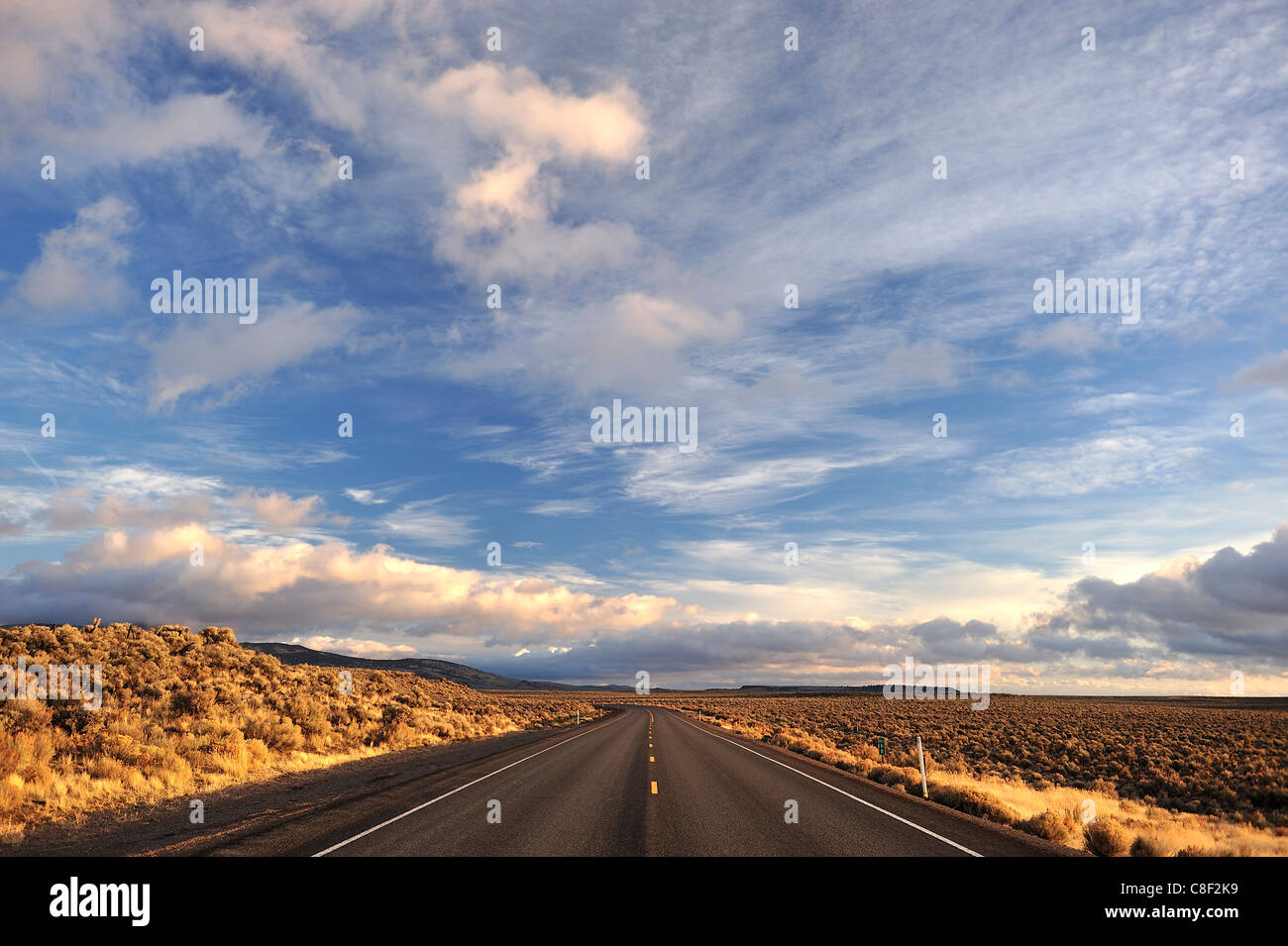 Einsame, lange Straße, gerade, Autobahn, Ost-Oregon, Oregon Outback, High Desert, Oregon, USA, USA, Amerika, Stockfoto