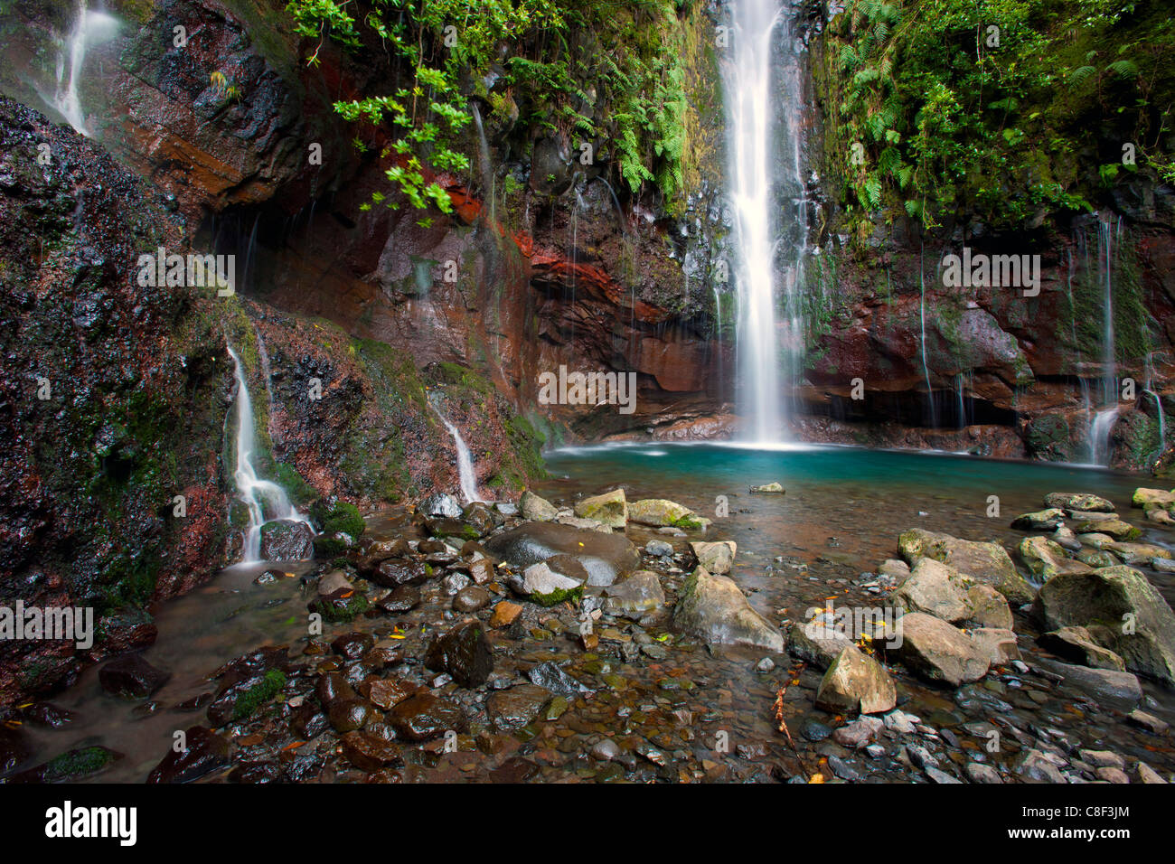 25 Fontes, Portugal, Europa, Madeira, Federn, Quellen, Wasser, Natur, Wasserfall, Fels, Felsen, Klippe Wasserkocher Stockfoto