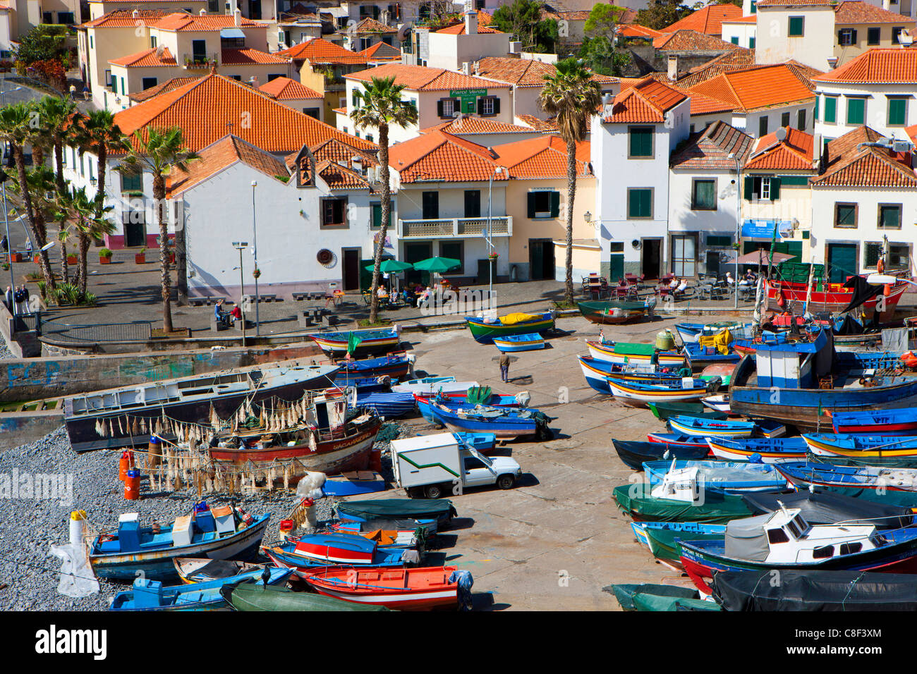 Camara de Lobos, Portugal, Europa, Madeira, Stadt, Stadt, Küste, Häuser, Häuser, Palmen, Boote, Angeln, Boote, Hafen, Hafen, Stockfoto