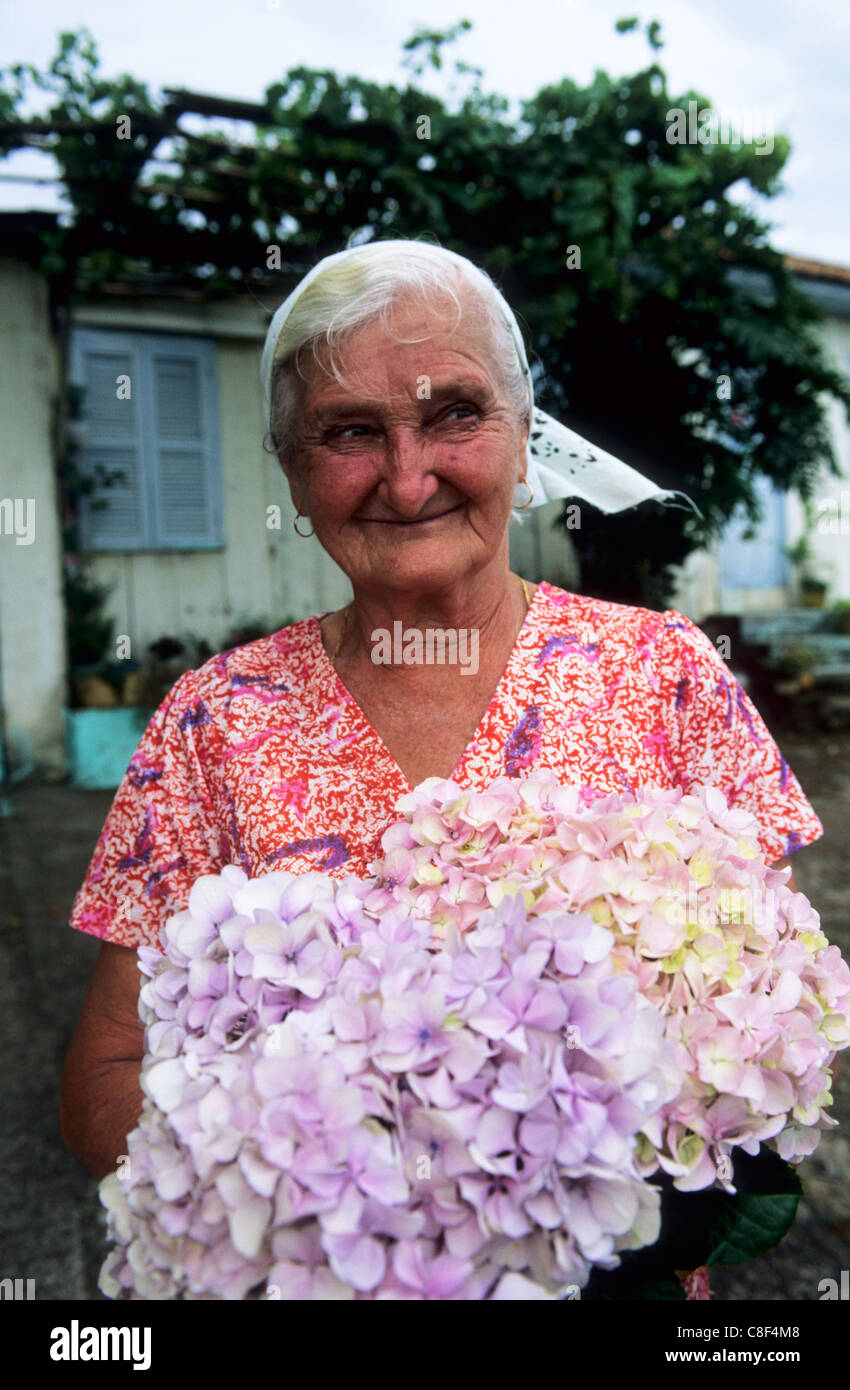 Rio Grande Sul, Brasilien. Porträt einer lächelnden ältere Frau mit einen Blumenstrauß Hortensie. Stockfoto