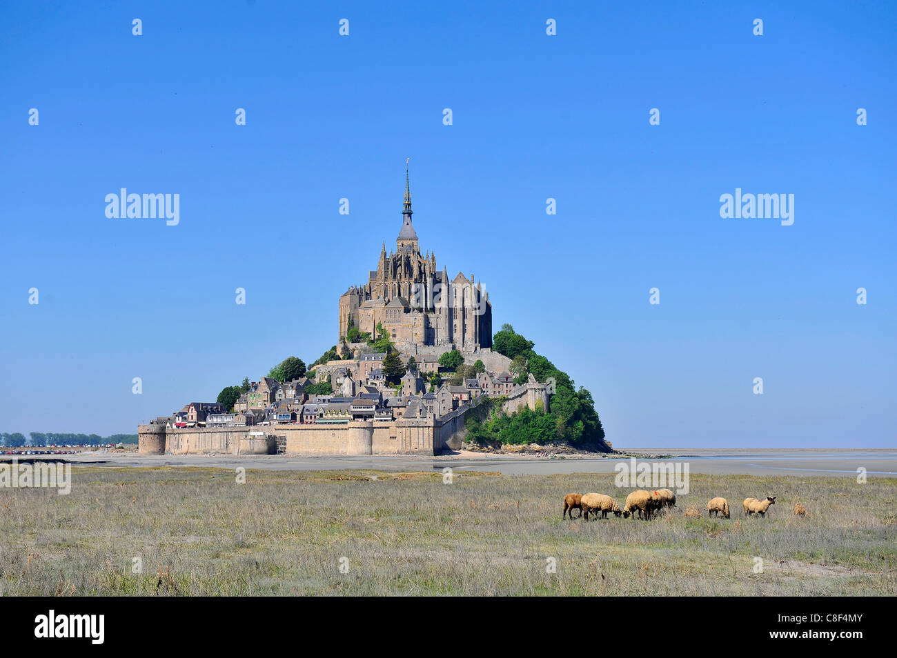 Abtei von Mont-Saint-Michel, UNESCO World Heritage Site, Normandie, Frankreich Stockfoto