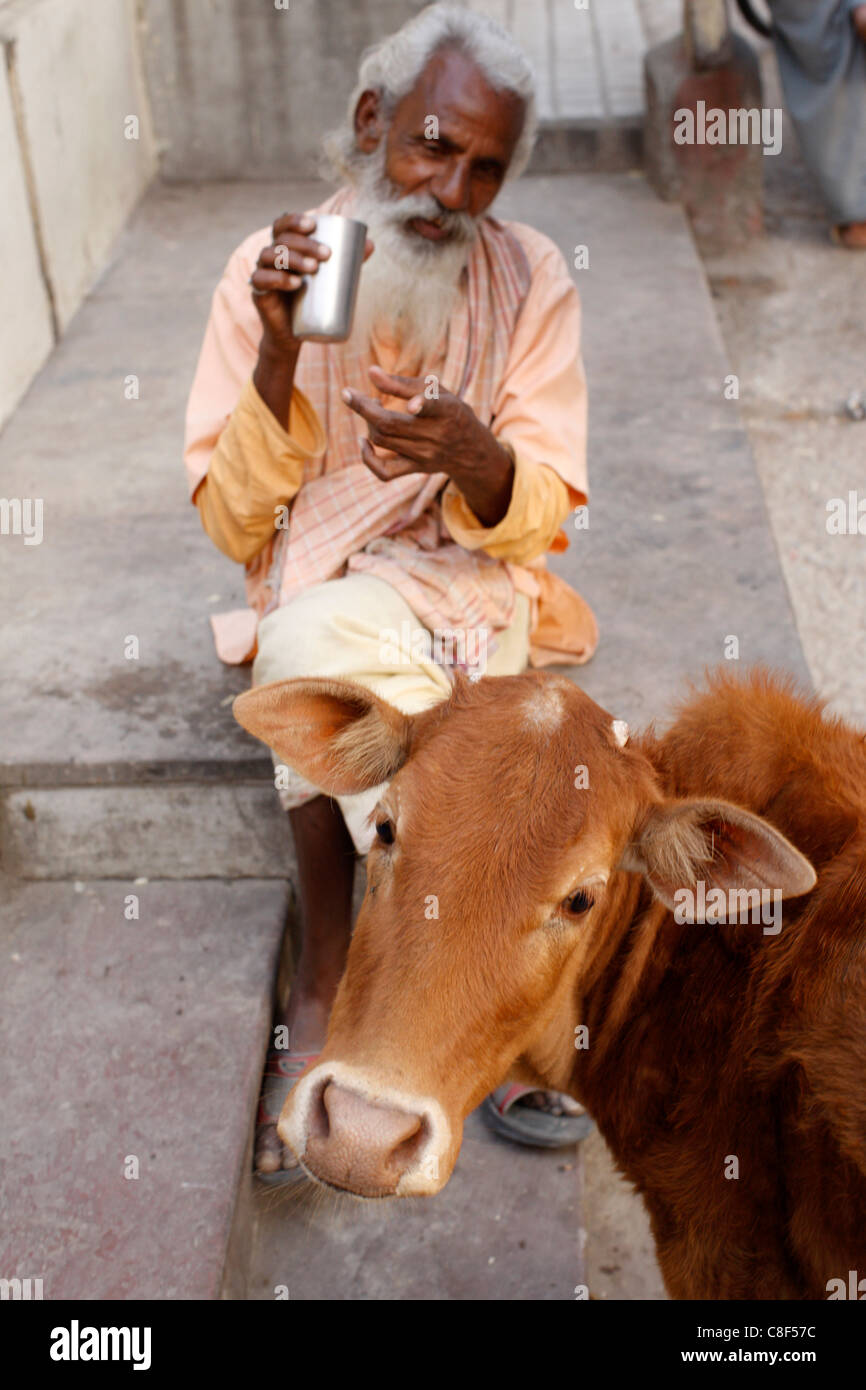 Sadhu und Heiligen Kuh, Rishikesh, Uttarakhand, Indien Stockfoto