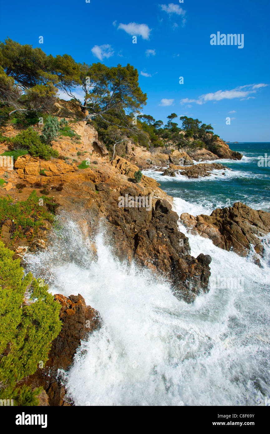 Punkt de Layet, Frankreich, Côte d ' Azur, Provence, Var, Meer, Mittelmeer, Küste, Fels, Felsen, Bäume, Kiefern, Wellen, Sur Stockfoto