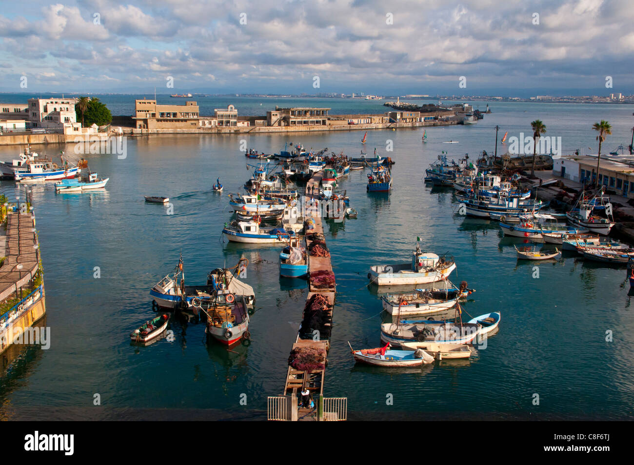 Der Hafen von Algier, Algerien, Nordafrika Stockfoto