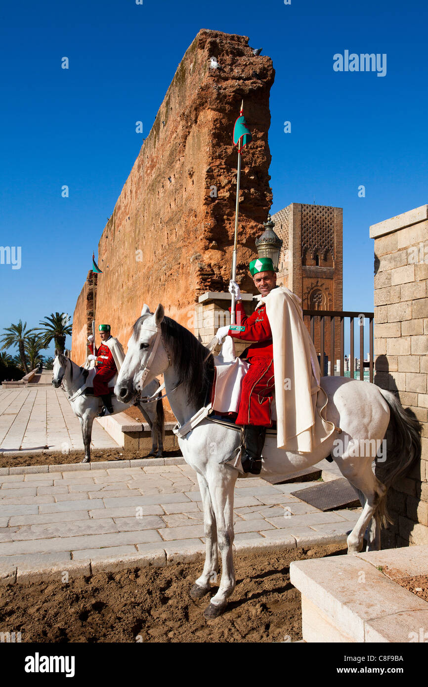 Nordafrika, Afrika, Marokko, Rabat, bewachen, Hassan II, Turm, Turm, Mohamed V, Mausoleum, Pferde Stockfoto