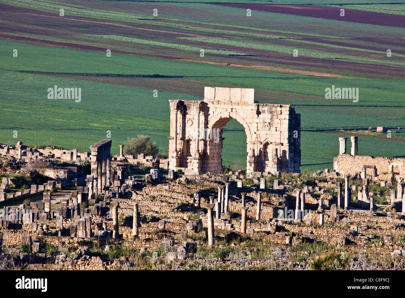 Marokko, Nordafrika, Afrika, römisch, Ruinen, Voulibilis, antike, antike, Caracalla, Triumphbogen, Stockfoto