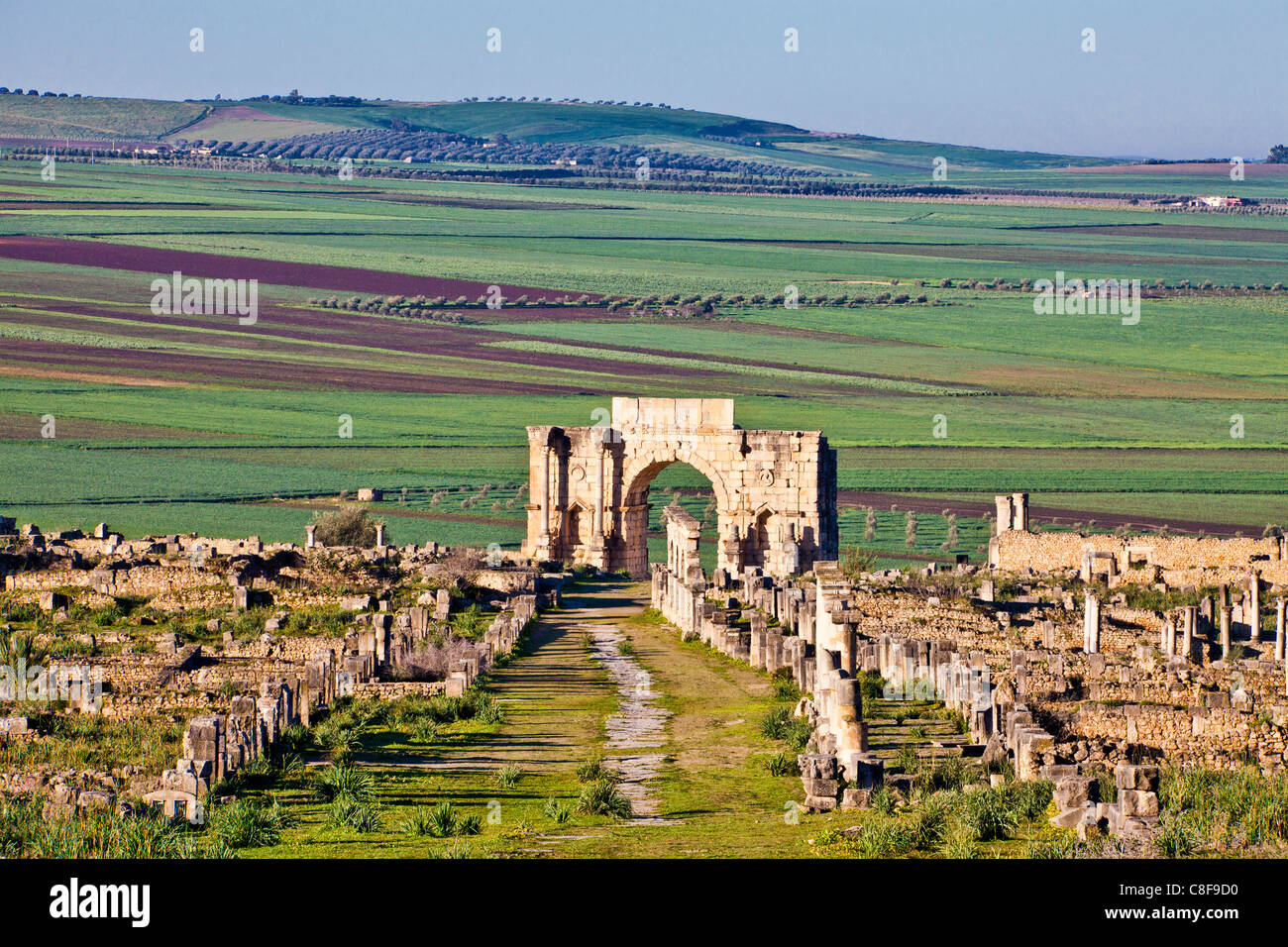 Marokko, Nordafrika, Afrika, römisch, Ruinen, Voulibilis, antike, antike, Decumanus Maximus, Straße, Caracalla Triumpha Stockfoto