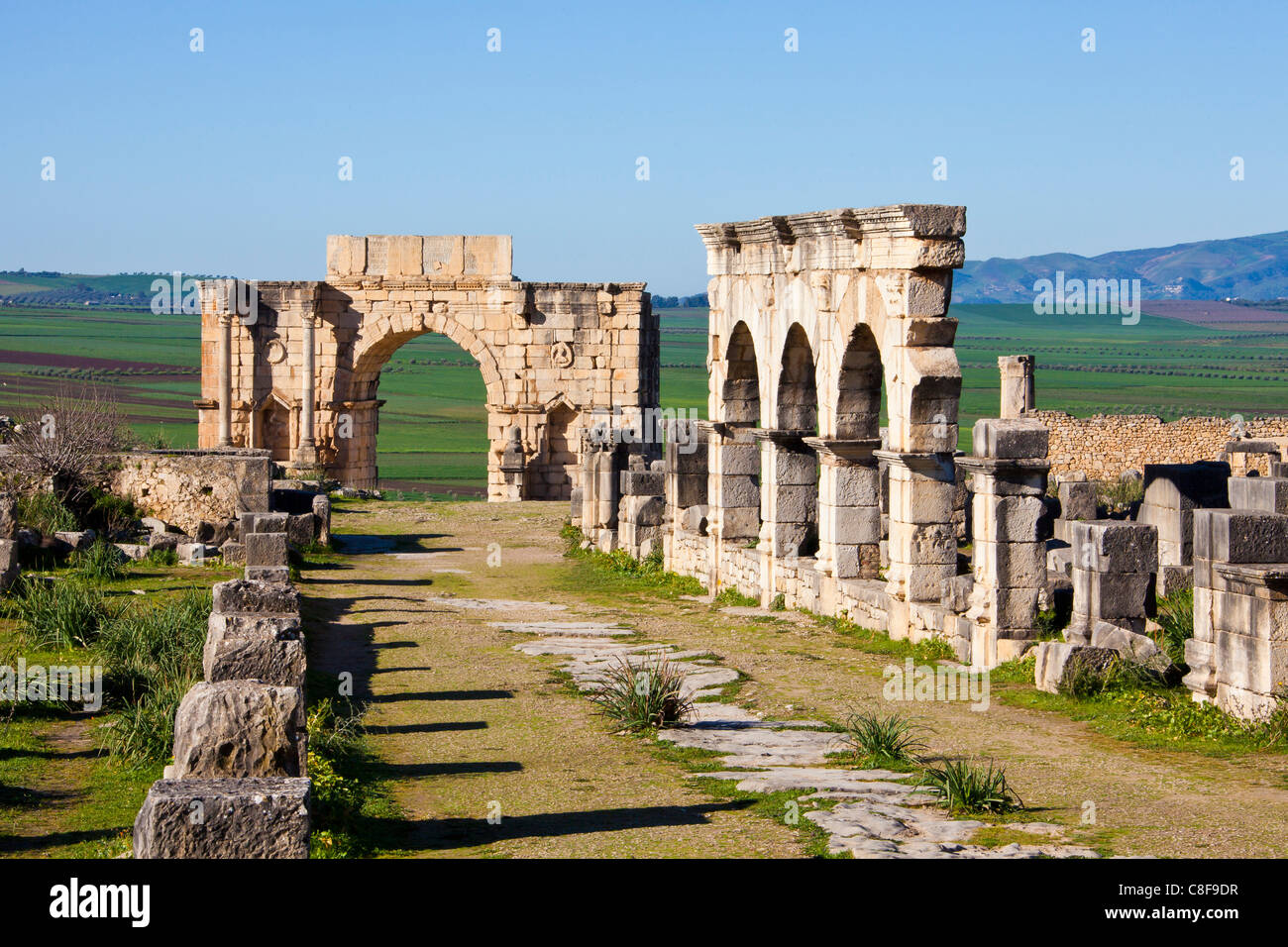 Marokko, Nordafrika, Afrika, römisch, Ruinen, Voulibilis, antike, antike, Decumanus Maximus, Straße, Caracalla Triumpha Stockfoto