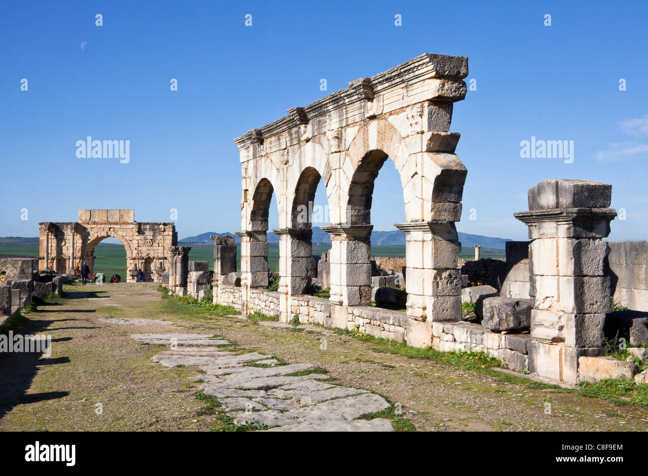 Marokko, Nordafrika, Afrika, römisch, Ruinen, Voulibilis, antike, antike, Decumanus Maximus, Straße, Caracalla Triumpha Stockfoto