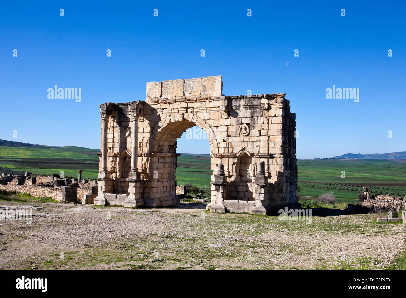 Marokko, Nordafrika, Afrika, römisch, Ruinen, Voulibilis, antike, antike, Decumanus Maximus, Straße, Caracalla Triumpha Stockfoto