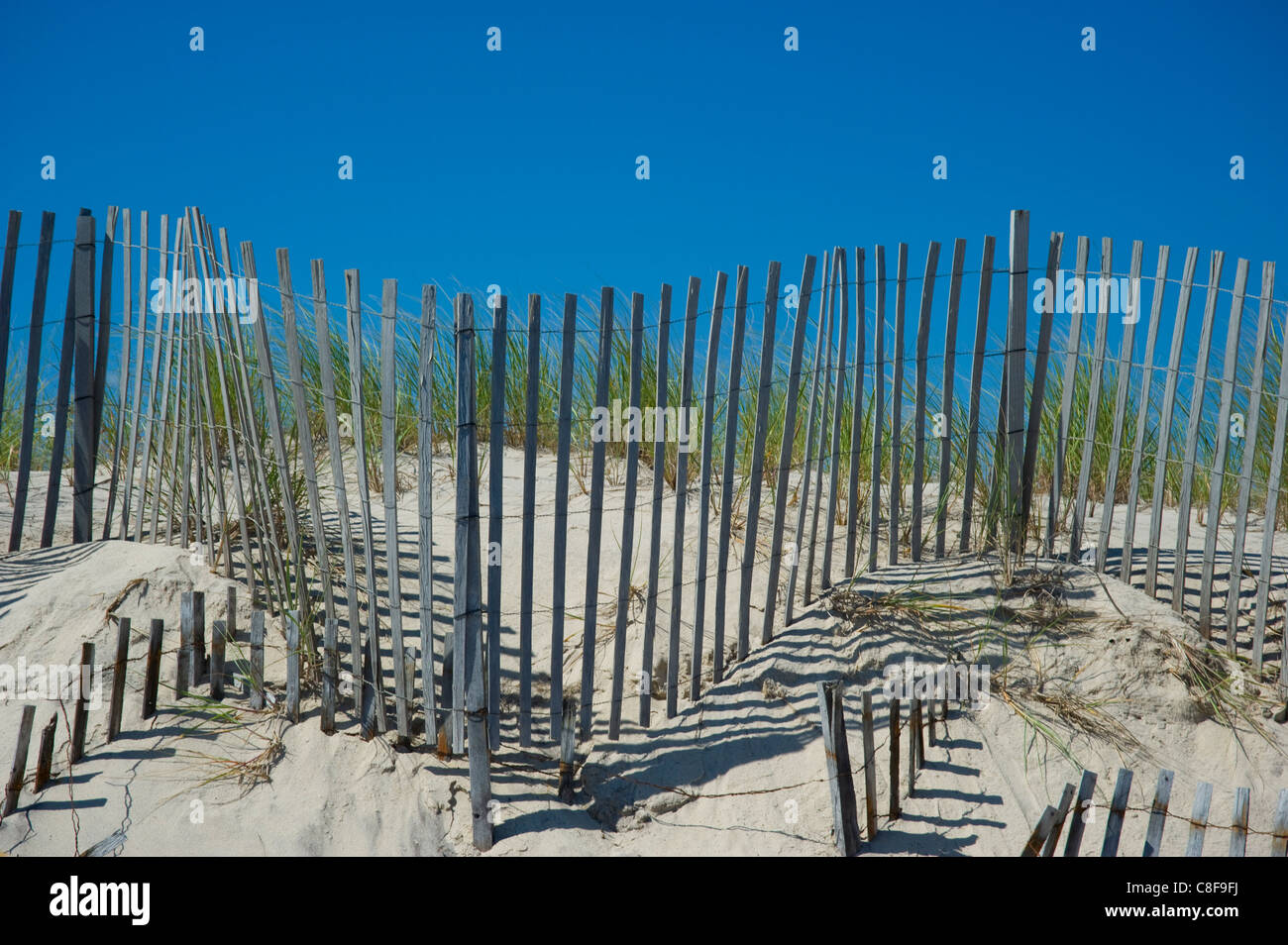 Dünen und Strandhafer, East Hampton Beach, Long Island, New York State, Vereinigten Staaten von Amerika Stockfoto