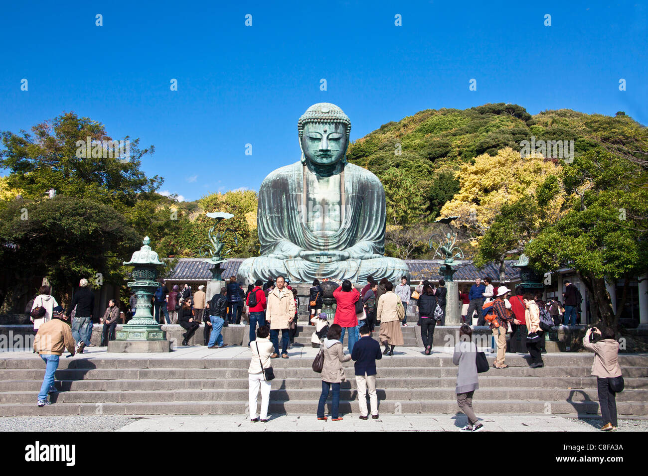 Kamakura, City, Japan, November, Asien, Dai Butsu Buddha, Buddha Statue, Buddha, Besucher, Touristen, Personen, Kamakura, Religion, Stockfoto