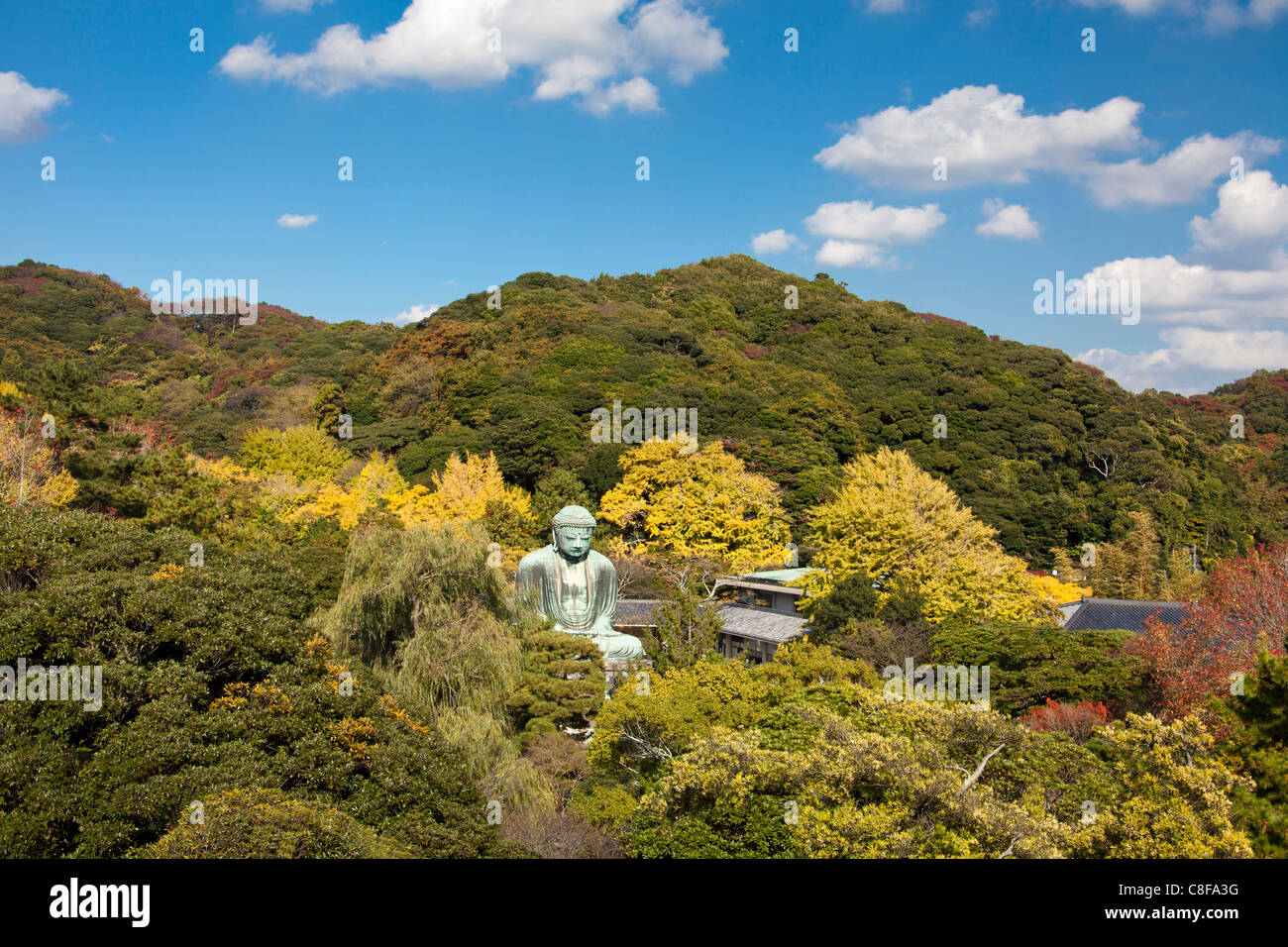 Kamakura, City, Japan, November, Asien, Dai Butsu Buddha, Buddha Statue, Buddha, Blick, Blick von oben, Kamakura, Religion, Stockfoto