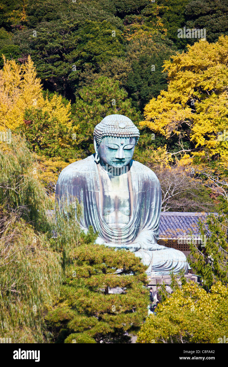 Kamakura, City, Japan, November, Asien, Dai Butsu Buddha, Buddha Statue, Buddha, Blick, Blick von oben, Kamakura, Religion, Stockfoto