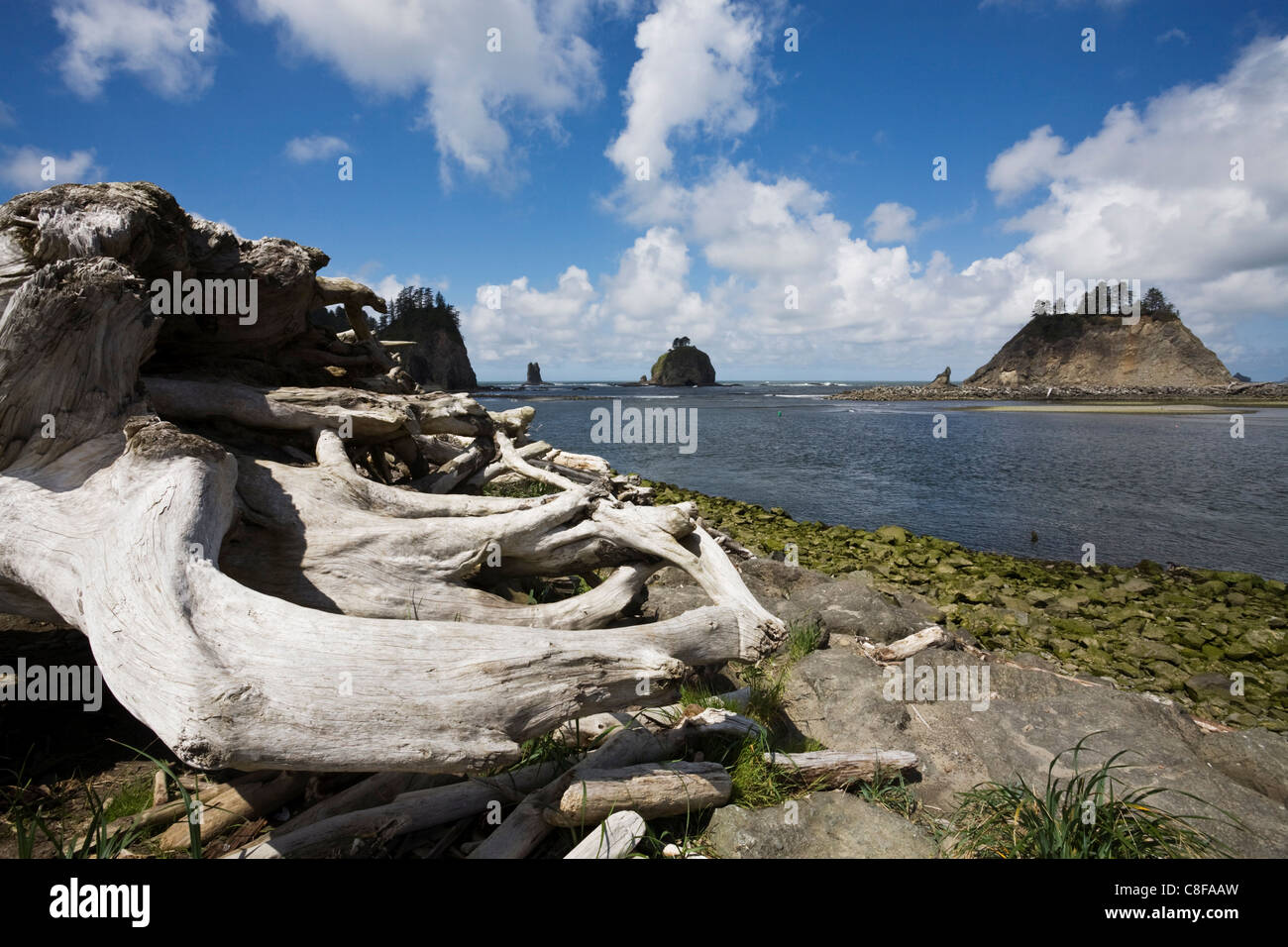 La Push, Olympic Peninsula, US-Bundesstaat Washington, Vereinigte Staaten von Amerika Stockfoto