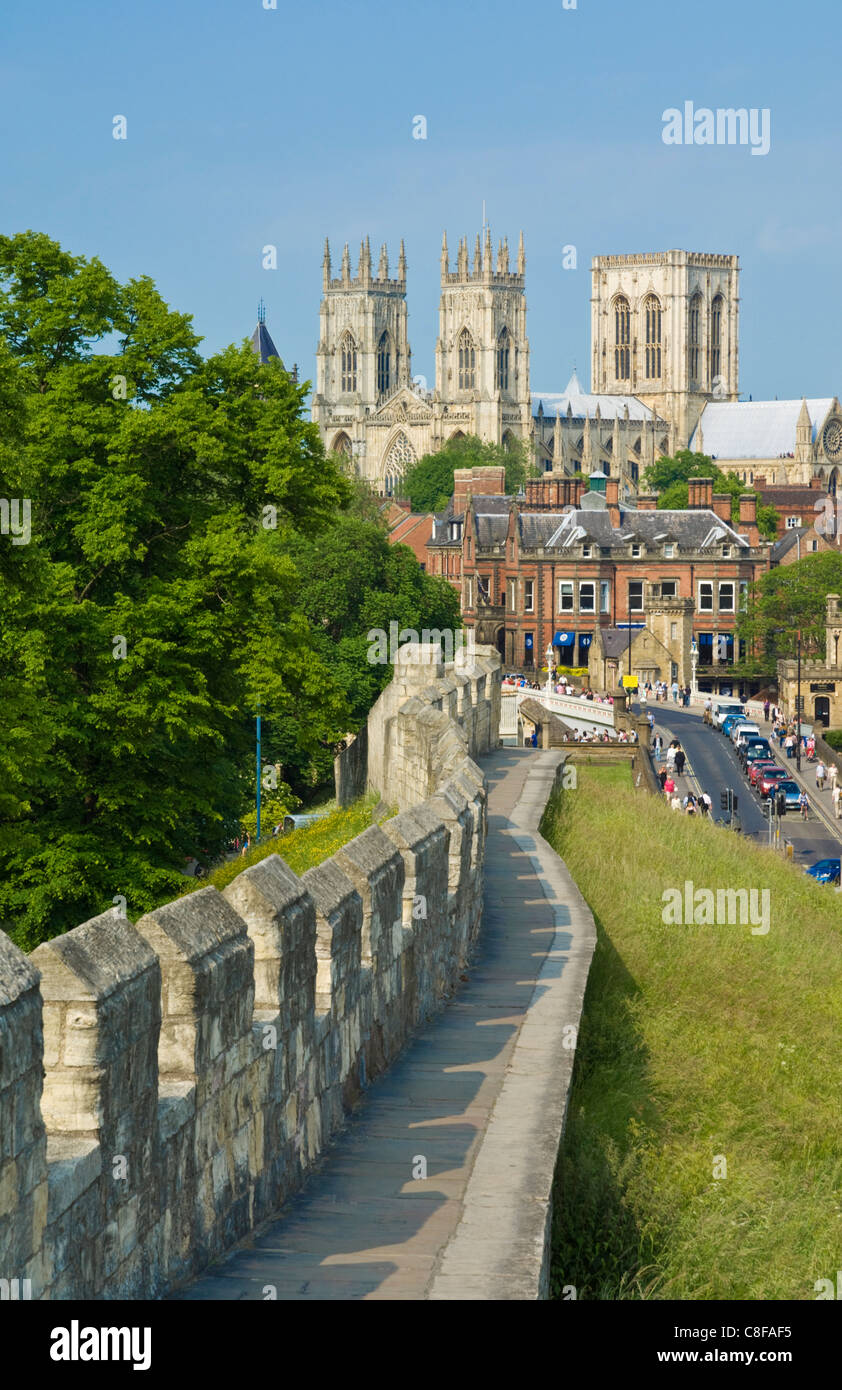 York Minster, Nordeuropas größte gotische Kathedrale, York, Yorkshire, England, UK Stockfoto