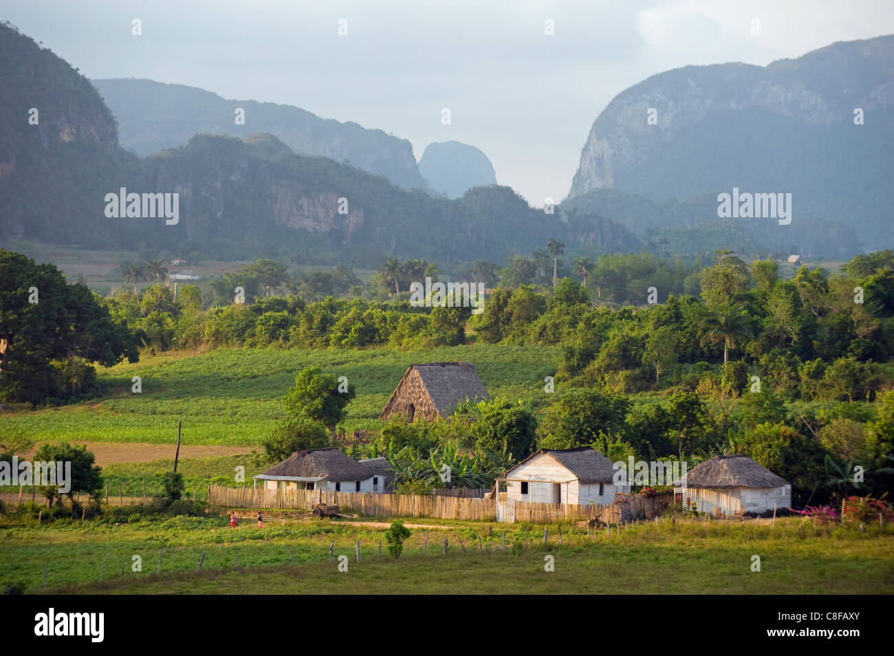 Bauernhof Häuser und Berge, Vinales Tal, UNESCO-Weltkulturerbe, Kuba, Westindische Inseln, Karibik, Mittelamerika Stockfoto