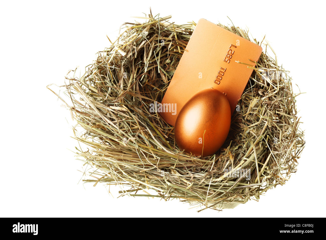 Gold-Ei und Kreditkarte im nest Stockfoto
