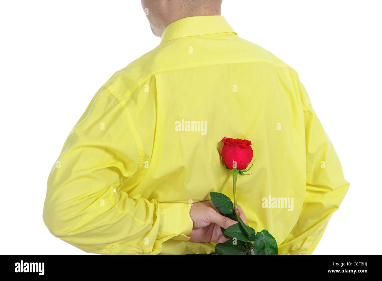 Mann in einem gelben Hemd mit einer roten rose Stockfoto