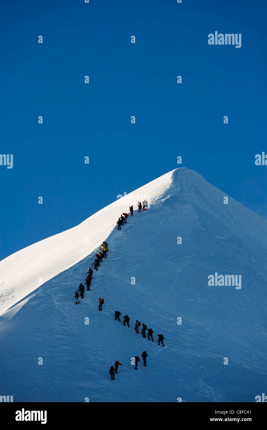 Langen Reihe von Bergsteiger am Gipfel Grat des Mont Blanc, 4810 m, Chamonix, Französische Alpen, Frankreich Stockfoto