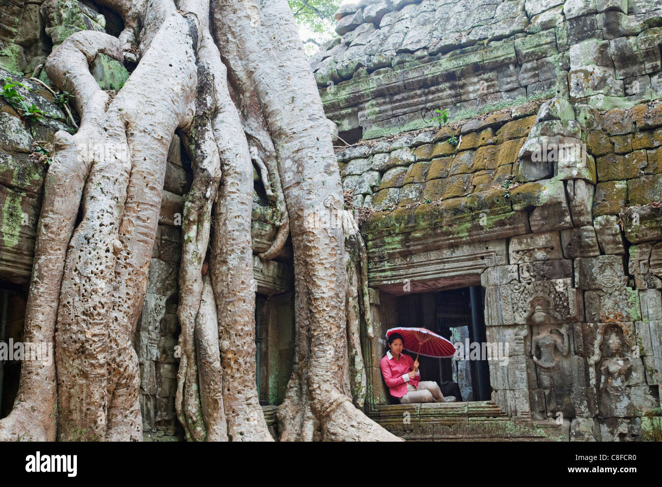 Asien, Kambodscha, Siem Reap, Angkor, Ta Prohm, Ta Prohm Tempel, Buddha, Buddhismus, Buddhismus, Baum, Bäume, Wurzeln, Natur, Reben, UNE Stockfoto