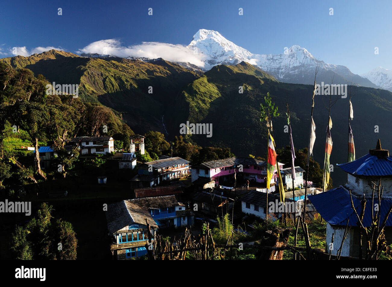 Annapurna South auf der linken Seite und Hiunchuli rechts, Annapurna Conservation Area, Dhawalagiri (Dhaulagiri, Pashchimanchal, Nepal Stockfoto