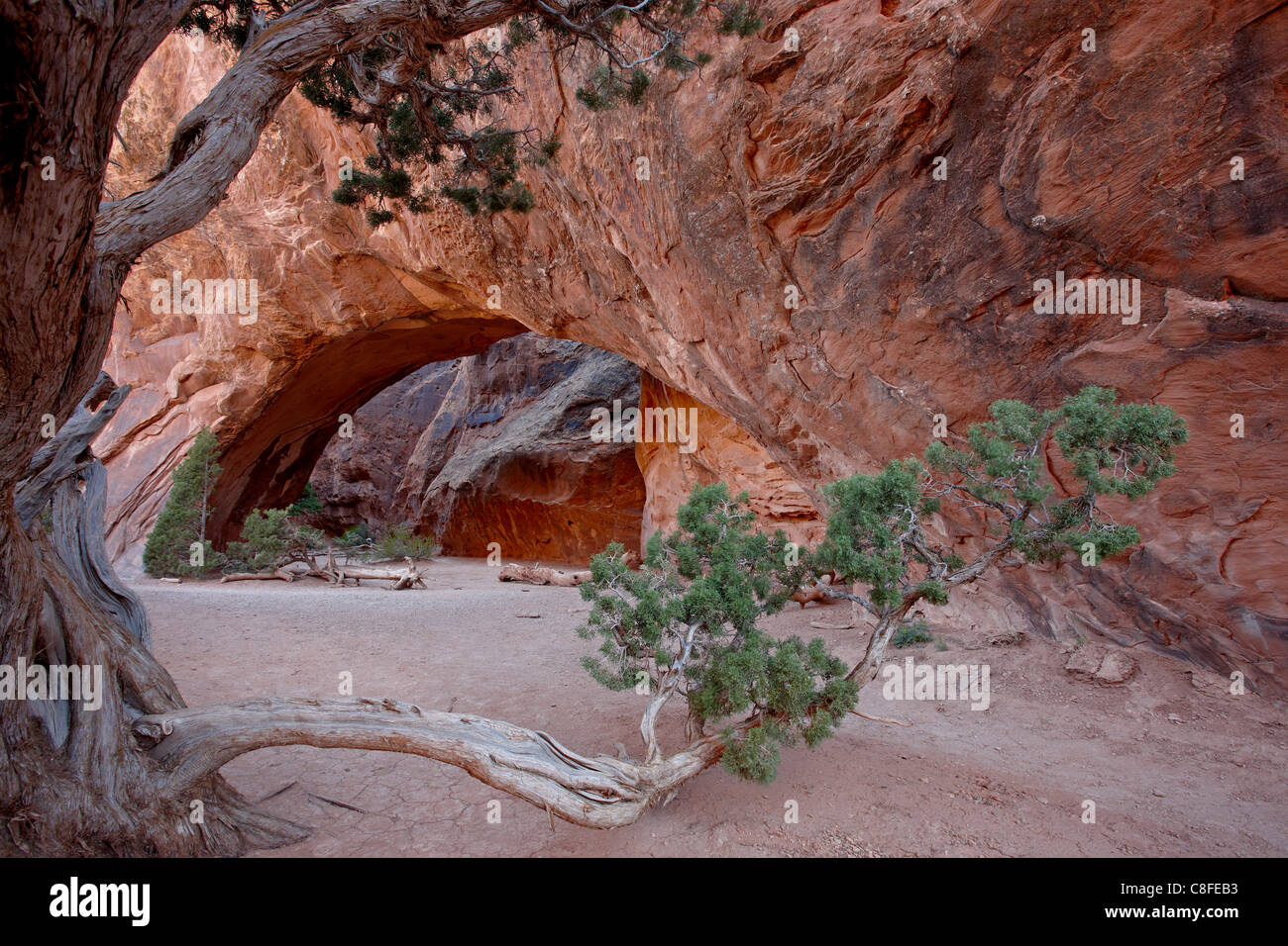 Navajo Arch, Arches-Nationalpark, Utah, Vereinigte Staaten von Amerika Stockfoto