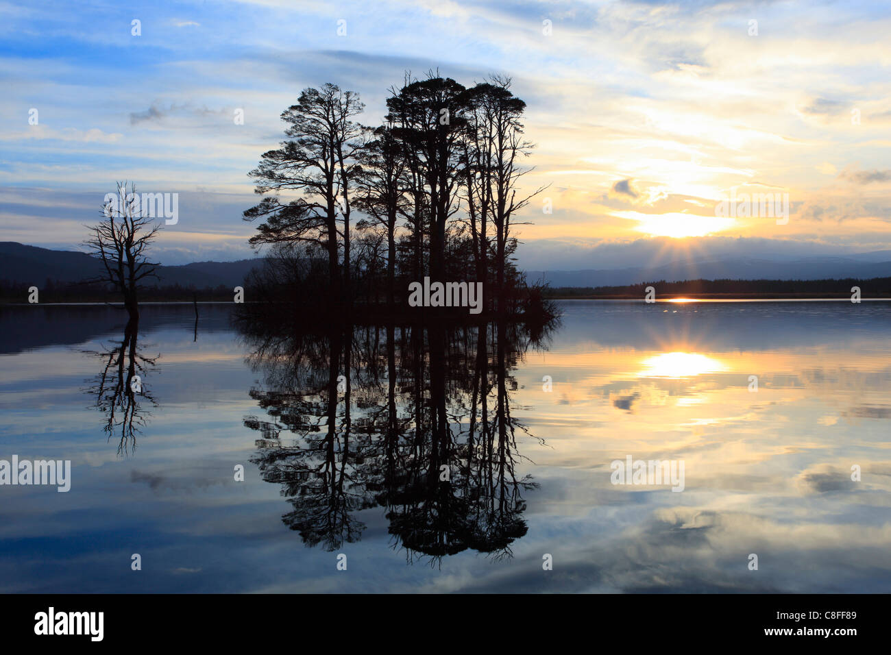 Abend, Abenddämmerung, Ansicht, Baum, Berge, Bäume, Cairngorms, Hochland, Highland, Kiefer, Loch, Loch Mallachie, Mallachie, nationale Par Stockfoto