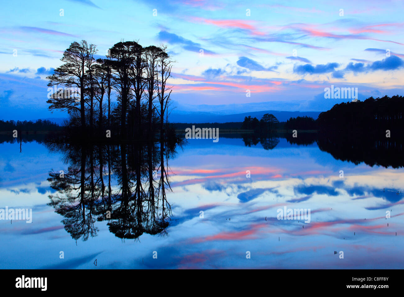 Abend, Abenddämmerung, Ansicht, Baum, Berge, Bäume, Cairngorms, Hochland, Highland, Kiefer, Loch, Loch Mallachie, Mallachie, nationale Par Stockfoto