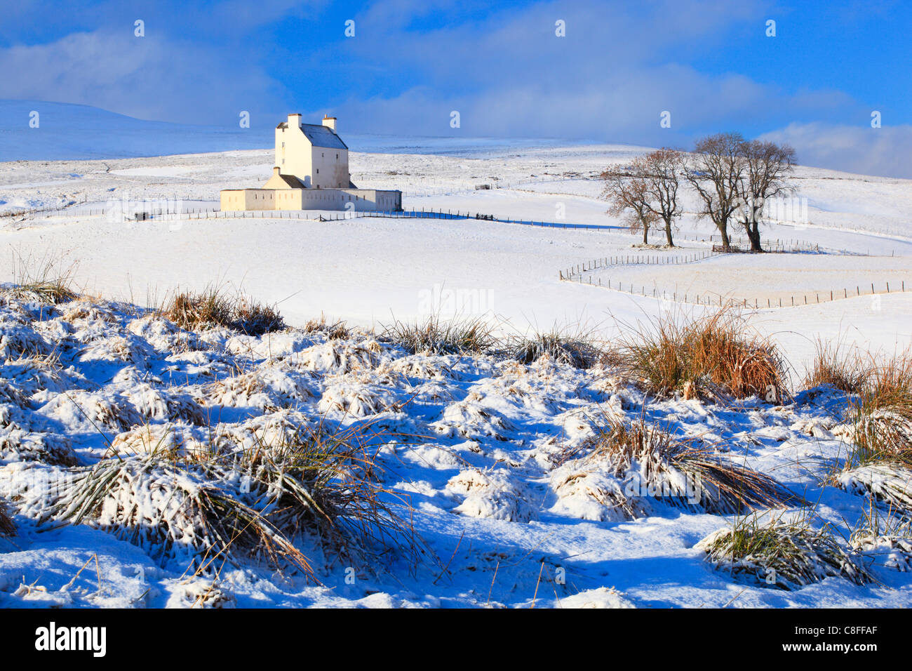 Baum, eine Gruppe von Bäumen, Burg, Bäume, Cairngorms, Corgarff, Corgarff Castle, Festung, Himmel, National Park, Park, Schloss, Schnee, Sc Stockfoto